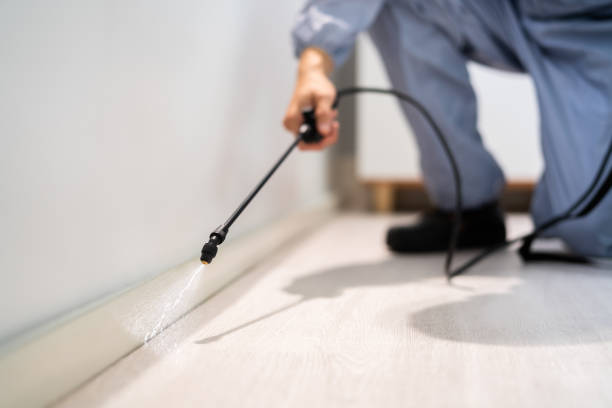 Licensed Mosquito Control service in Fairfax, OH - Show Me Pest Control