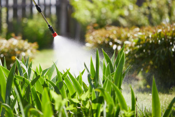 24/7 Emergency Mosquito Control experts in Fairfax, OH